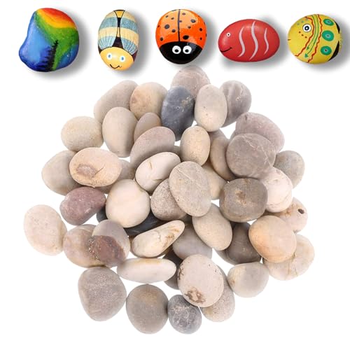 Liekadijiae 25 Stück Kieselsteine zum Bemalen Flach, Groß Steine zum...