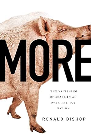 More: The Vanishing of Scale in an Over-the-Top Nation book cover