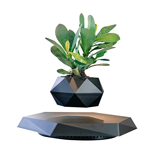 A plant pot that literally floats and spins in mid-air via magnetic levitation — instant desk conversation piece.
