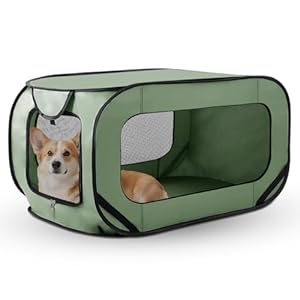 Faltbare Hundebox Auto, Transportbox Hund & Katze bis 29.5 kg (94x53x53 cm), Robuste Hundetransportbox faltbar mit Doppeltüren & Sicherheitsgurt, Tragbarer Rückzugsort für Reisen (Grün)