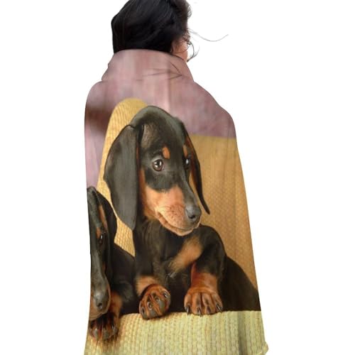 Couverture polaire imprimée motif teckel, le cadeau idéal pour amoureux des chiens