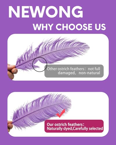 image for NEWONG 30pcs Light Purple Ostrich Feathers Natural Bulk 8-10in（20-25
