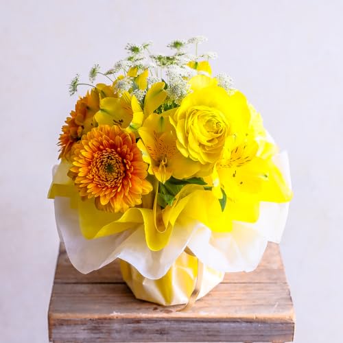  Ԃ͂ȃu[P STCY (CG[&IW)  ԑ ^ ԕr炸 Mtg t[ AWg bsOĂ͂ a LO j j LO u[P  _ސ̉ԉ t[Xg b܎܃fUCi