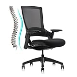 CLATINA Ergonomic High Swivel Executive Chair with Adjustable Height 3D Arm Rest Lumbar Support and Mesh Back for Home Office BIFMA Certified Black