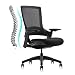 CLATINA Ergonomic High Swivel Executive Chair with Adjustable Height 3D Arm Rest Lumbar Support and Mesh Back for Home Office BIFMA Certified Black