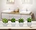 Home Trends Set of 8 Green Succulents Artificial, Mini Succulent Plants, Faux Succulents Potted in White Ceramic Pots