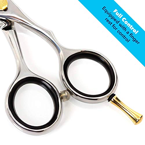 Equinox Professional Razor Edge Series - Hair Cutting and Thinning/Texturizing Scissors/Shears Set - 6.5 Inches - Stainless Steel