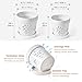 STHIE Small Orchid Pots with Holes 5 Inch & 6 Inch, Ceramic Orchid Pots for Repotting, 2 Pack Breathable Slotted Orchids Planter, White Flower