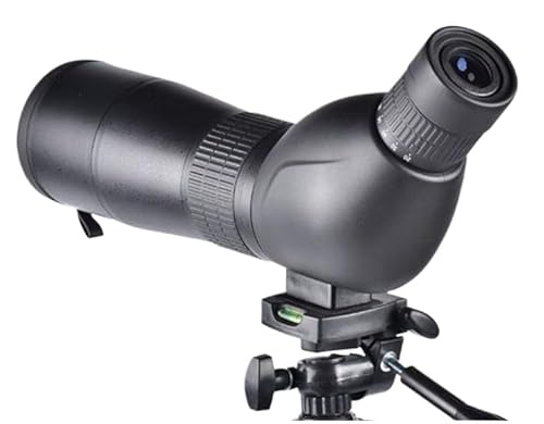 gѓdb̖]YAgѓdb̍{ V̖]A]OYA60{wY[AwKXAޗAv̎BeAt[Y[AgpAsƖ`AAEghAAiA|[g[gAptH[}XK{A̖Ԏ͂ȂǁB ގFAvX`bNA