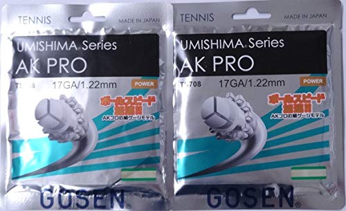 GOSEN(�S�[�Z��)�d���e�j�X �K�b�g AK PRO 17GA�yTS708-NA�z×�Q���Z�b�g