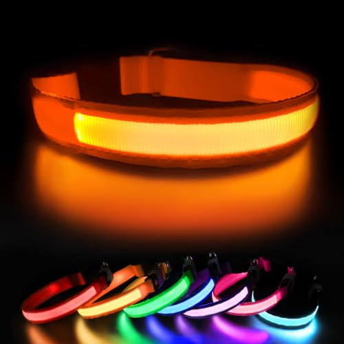 Leuchthalsband Hund, Hundehalsband Leuchtend Aufladbar, LED Halsband für Hunde Leuchtband Einstellbar Wasserdicht mit 3 Lichtmodi… – Ansicht 1