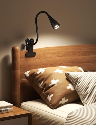 Image of Clip on Light, Desk Lamp with Clamp and Adapter, LED Eye Caring Reading Light for Bed with 3 Colors & 10 Brightness Levels, Clamp Light with Flexible Gooseneck for Bedroom, Office, Dorm