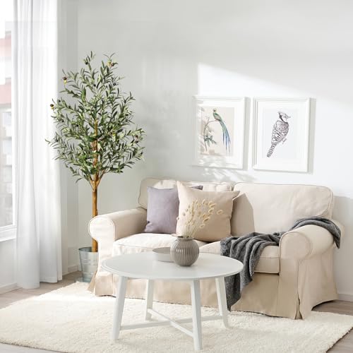 GAOMON Artificial Olive Tree 5FT(60in) Tall Faux Olive Trees with Silk Leaves for Home Office Living Room Decor Indoor Fake Olive Tree with Curved Wood Trunk and Lifelike Fruits 1 Pack