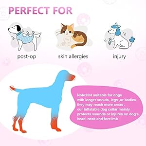 Leo IRis Inflatable Cone Collar for Large Medium Small for Dogs Cats Soft Dog Cone Adjustable E Collar Dog Neck Donut Dog Cone Alternative After Surgery to Prevent from Biting Licking with Pump Leo IRis Inflatable Cone Collar for Large Medium Small for Dogs Cats Soft Dog Cone Adjustable E Collar Dog Neck Donut Dog Cone Alternative After Surgery to Prevent from Biting Licking with Pump