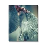 Stupell Industries Close Up Water Drip Petals Canvas Wall Art, Design by Incado