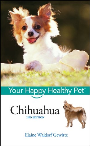 Buy Chihuahua: Your Happy Healthy Pet — BookShops.in