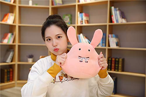 Amazon.com: IOPBOT Anime Toilet-Bound Hanako-kun Mokke Plush Doll