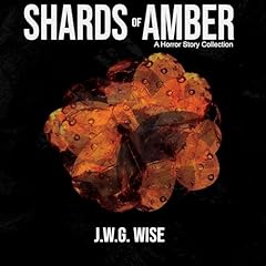 Shards of Amber Audiolibro Por J. W. G. Wise arte de portada