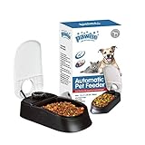 PAWISE Automatic Pet Feeder Food Dispenser with Timer for Cats and Dogs (1 Meal)
