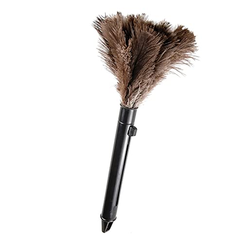 _`ẺH_X^[AӂӂœVR̉H_X^[Ai[nhtAėp\AɗD莝N[jOpiA|p̊i[_`ẺH_X^[