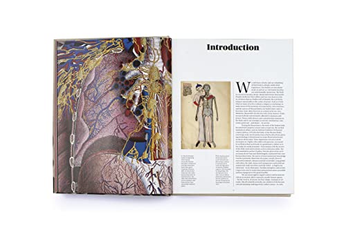 Anatomica: The Exquisite And Unsettling Art Of Human Anatomy #TOP5