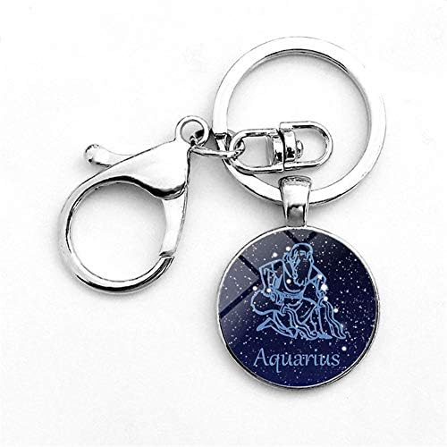 Aquarius Constellation Zodiac Keychain for Women Girls Aquarius Key Chain Ring Jewelry Best Friends Gifts for Birthday Christmas Thanksgiving Valentine's Day Gifts for Sister Aunt Niece