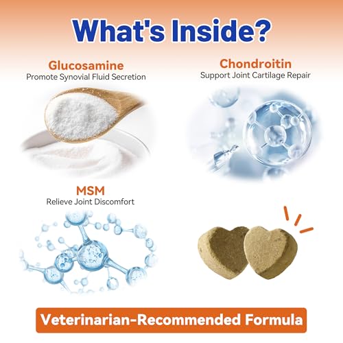 Wellix Dog Hip and Joint Soft Chew Supplement, Joint Pain Relief with Glucosamine, MSM, Vitamins C and E for Dog Joint Supplement - Thumbnail 3