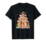 Animal Golden Retriever Christmas