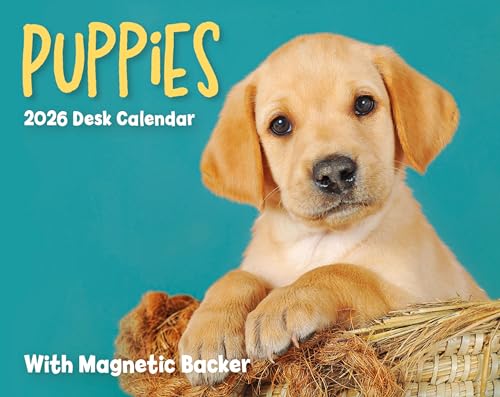 2026 Puppies Mini Box Calendar