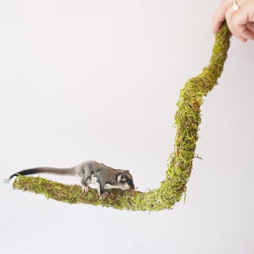 Begeterday 25 Inch Bendable Sugar Glider Climbing Toys, Ideal Sugar Glider Cage Accessories thumb #2