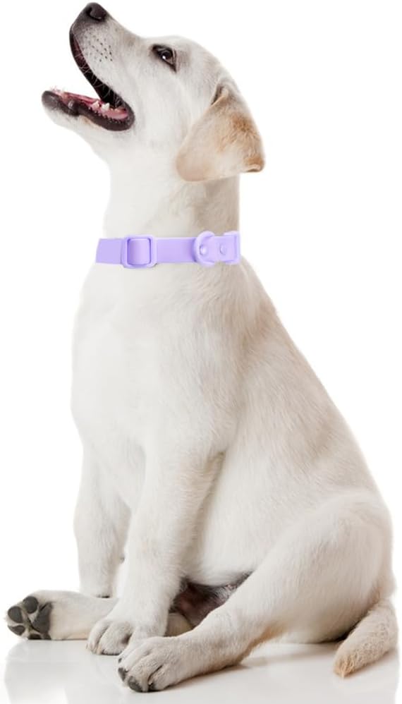 FEimaX Waterproof Dog Collar with Adjustable and Stinkproof，Dog Collars Easy to Clean for Large Medium Small Dogs，Pet Collars Soft Comfortable Without Neck Strain image 5