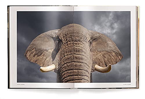 Mother: A Tribute to Mother Earth