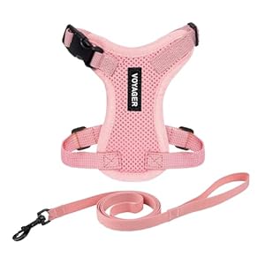 Voyager Step-in Lock Adjustable Cat Harness w. Cat Leash Combo Set with Neoprene Handle 5ft – Supports Small, Medium and Large Breed Cats by Best Pet Supplies – Pink, XS
