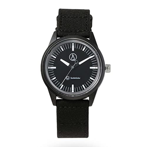 Q&Q SmileSolar(�L���[�A���h�L���[ �X�}�C���\�[���[)�r���v �\�[���[ �A�i���O �h�� R00A-005JK ���f�B�[�X �u���b�N