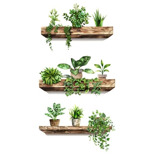 Stickers muraux - Lot de 3 stickers 3D plantes vertes, plantes en pot suspendues et lierre, décoration murale autocollante pour cuisine, salon et chambre