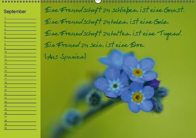 Vergiss mein nicht Geburtstagskalender (Wandkalender immerwährend DIN A2 quer): Immerwährender Terminkalender mit bildschönen Blumenmotive und ... ... Lebensweisheiten (Monatskalender, 14 Seiten)