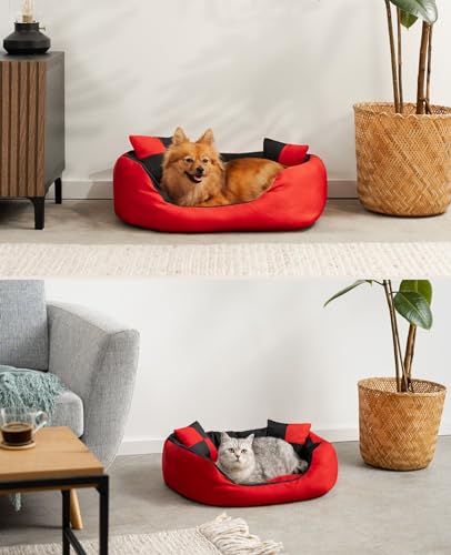 lionto Hundebett 4-in-1 mit Wendekissen aus robustem Oxford, 65x50 cm, Heimtierkissen Kratzfest mit tiefem Einstieg für Katzen und Hunde Aller Größen, inkl. Zierkissen, wasserabweisend, rot/schwarz