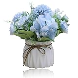 💐 【Wunderschönes Set mit künstlichen Blumen】: Unser Set mit künstlichen Pfingstrosen enthält Blumen- und Keramikvasen, jeder hat 7 Stiele, jeder Stiel hat 1-2 Köpfe, diese Blumen sind mit Blättern verziert. Künstliche Blumen können während des Transports zusammengedrückt und deformiert werden, werden jedoch nach dem Anzeigen mit geringfügiger Anpassung wiederhergestellt.