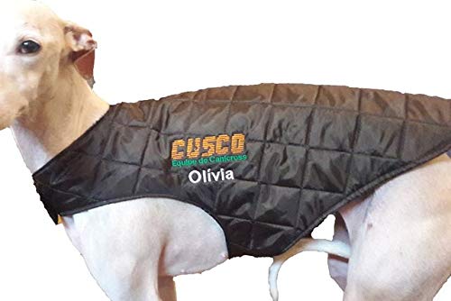 Capa para Cachorro de inverno (G)