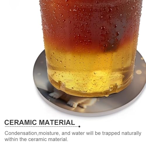 Sous-verres céramique Poméranie x6, dessous de verre absorbant et liège 10cm - 5