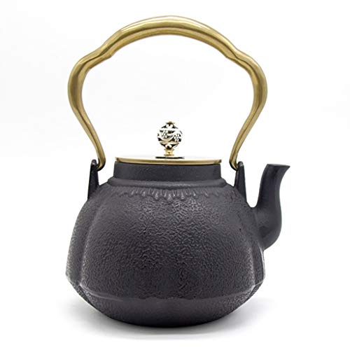 Cast Iron Teapot Japanese Tetsubin Tea Kettle 12L Cast Iron Tea Pot to Keep Tea Warm Handmade Chinese Collection Health Gift for Friend