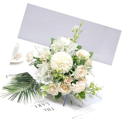 QAMITAL ԑ ① Qp  ݗp ʐ^Bep ̓v[gɍœK [YVp[j ԑ