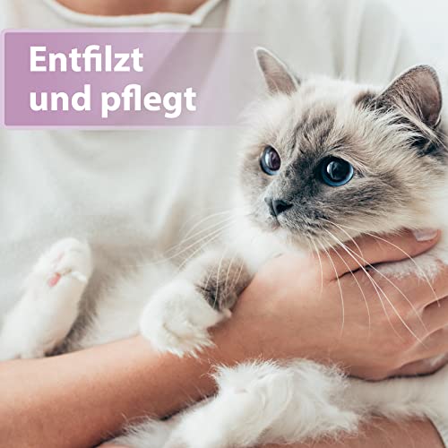 Felisept Fellpflegespray für Katzen 250ml - Entfilzungsspray Katze - Katze verfilztes Fell entfernen - besonderer Schutz & Pflege für das Katzenfell - Erleichtert das Auskämmen