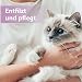Felisept Fellpflegespray für Katzen 250ml - Entfilzungsspray Katze verfilztes Fell entfernen, besonderer Schutz & Pflege für das Katzenfell - Erleichtert das Auskämmen