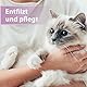 Felisept Fellpflegespray für Katzen 250ml - Entfilzungsspray Katze - Katze verfilztes Fell entfernen - besonderer Schutz & Pflege für das Katzenfell - Erleichtert das Auskämmen