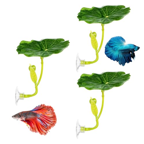 QfwdfcTrenz 3 Pcs Betta Fish Bed Leaf Betta Suction Cup Tank Decor Green Hammock for Fish Spawning Grounds Leaf Pad Leaves Simulates Natural Habitat Comfortable Resting Bed
