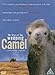 Produktbild The Story Of The Weeping Camel [UK Import]