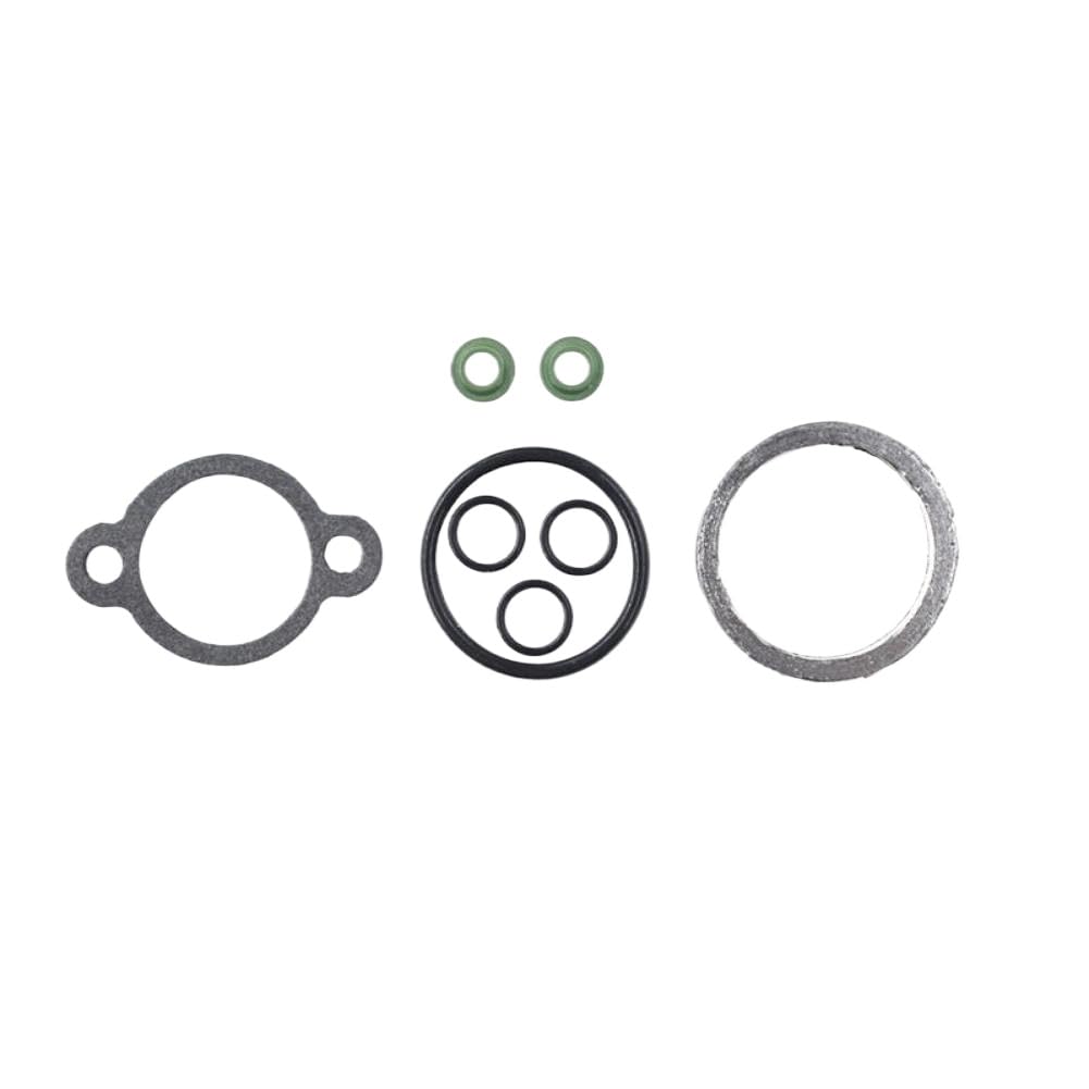 Kit Completo Guarnizioni E Paraolio Compatibile Con TRX350 FE EM TE Rancher 350