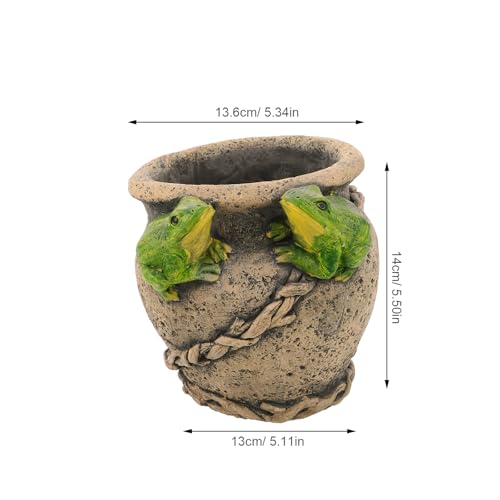 Pot de succulentes grenouille Jojofuny idéal pour terrasse et balcon
