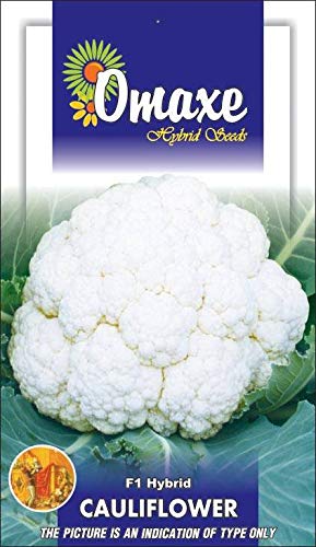 Omaxe Seeds Cauliflower F1 hybrid Vegetable seeds Kitchen Garden Packet (B07MCCYXJ5) Amazon Price History, Amazon Price Tracker